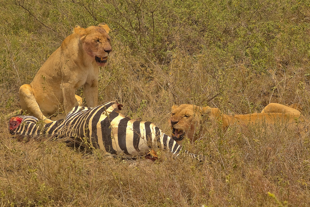 Serengeti National Park