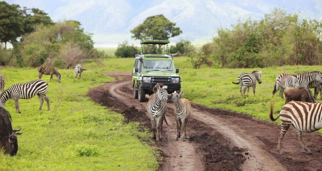 6 days Best Self Drive Safaris In Tanzania