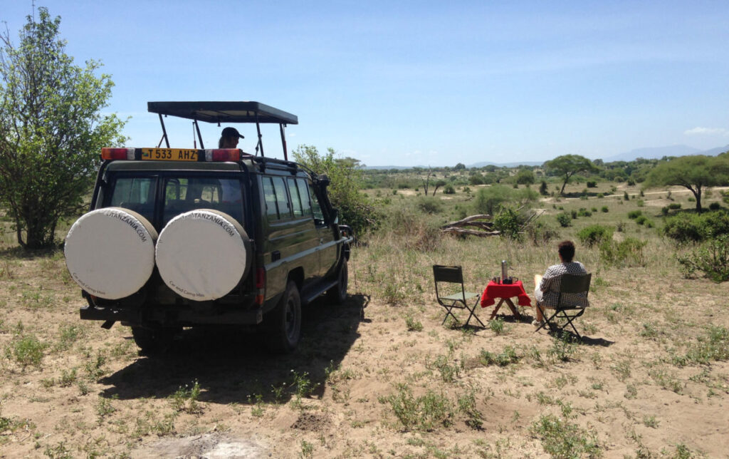 Self drive Safari Serengeti