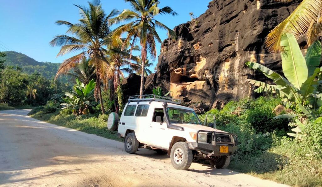 8 Best  Tips of  Self Drive In Tanzania
