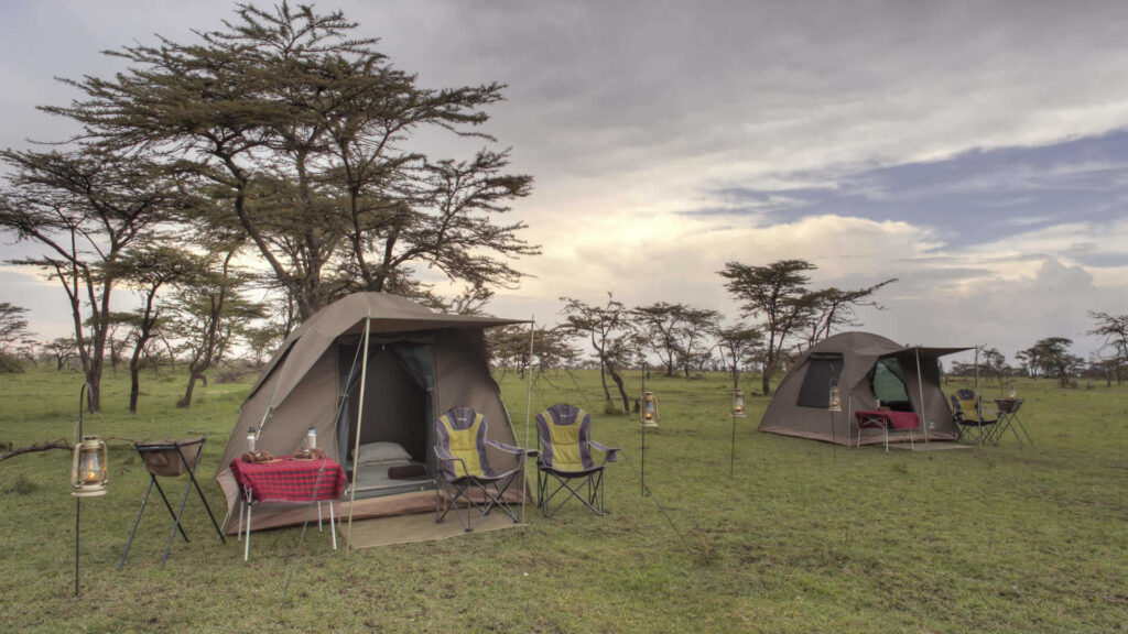 Experience Camping  Safaris in Serengeti National Park 