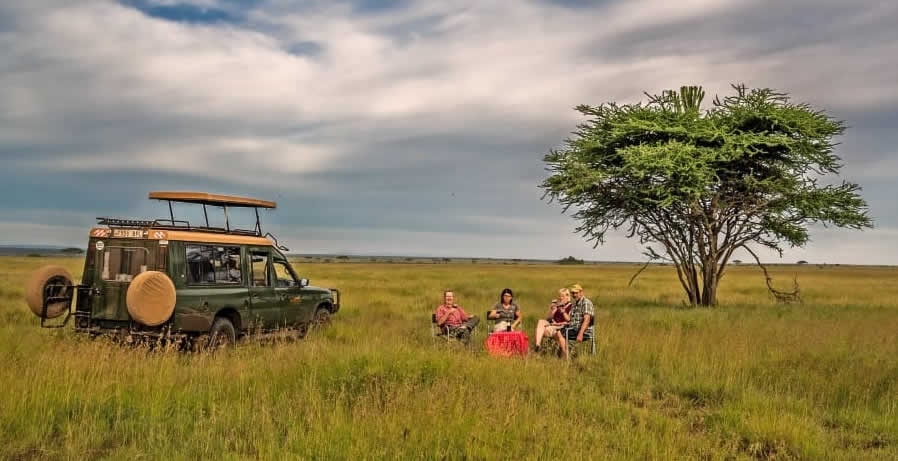 Family Safari to Serengeti