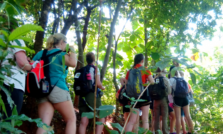Udzungwa Mountains National Park