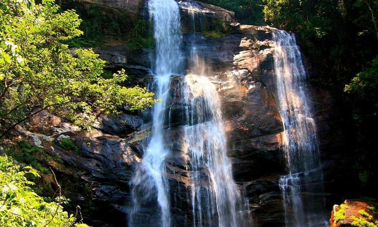Udzungwa Mountains National Park