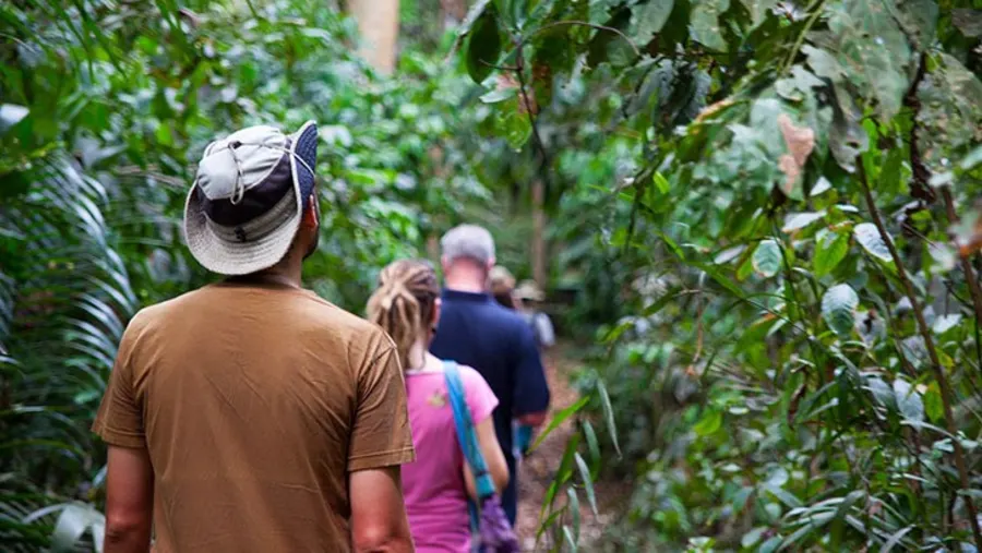 Jozani Forest Nature Walks