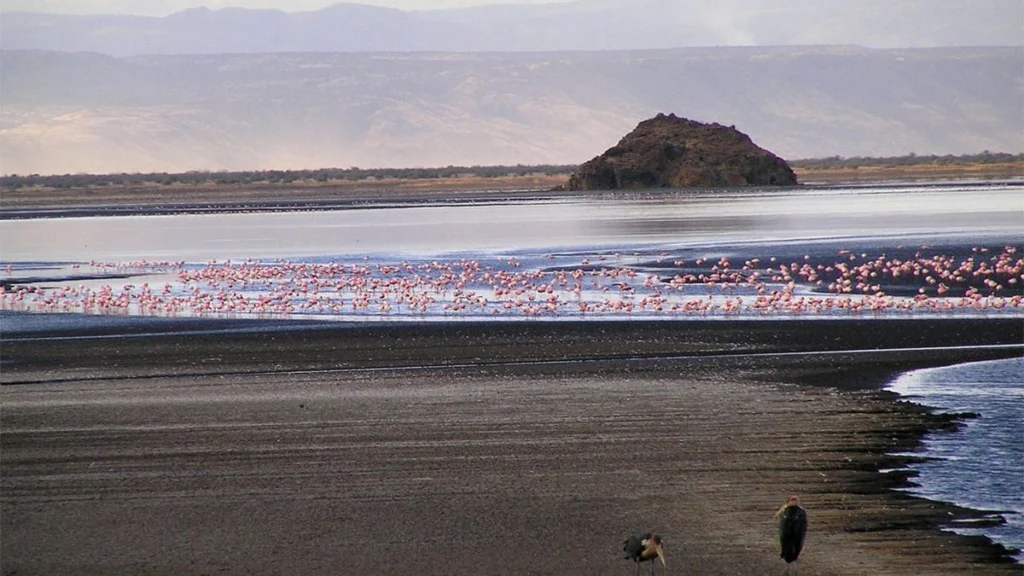 Lake Natron