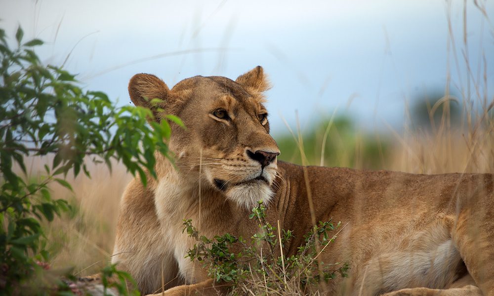 Top 5 Places to Visit in Tanzania on Self drive