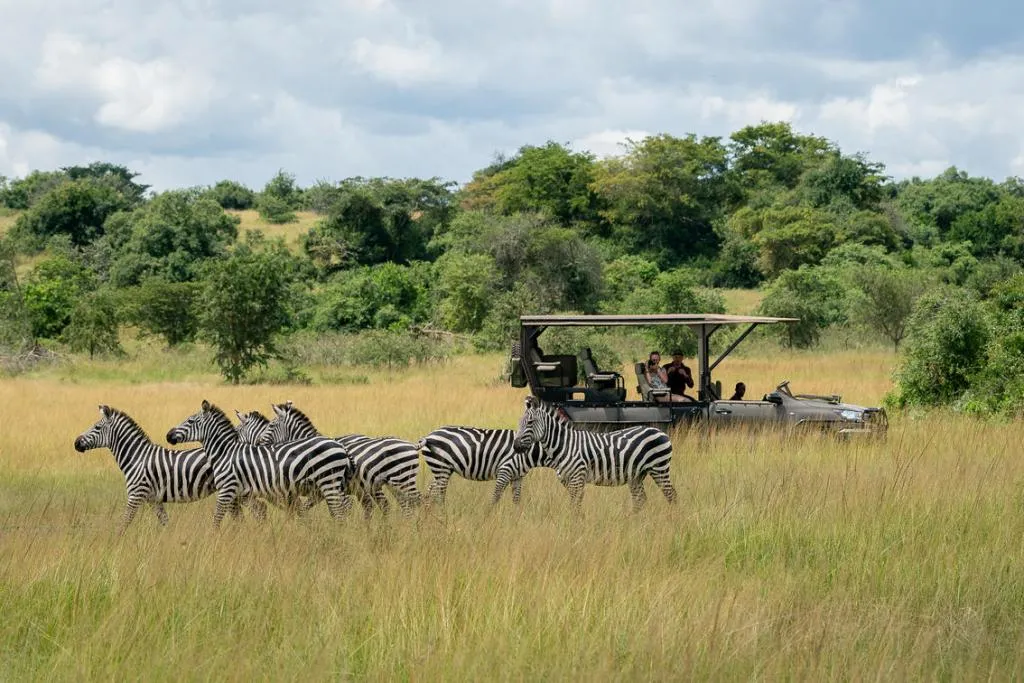 6 Reasons Why Serengeti Deserves a Place on Your Travel Bucket List